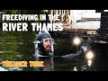 Tagg's Island. Freediving in the River Thames