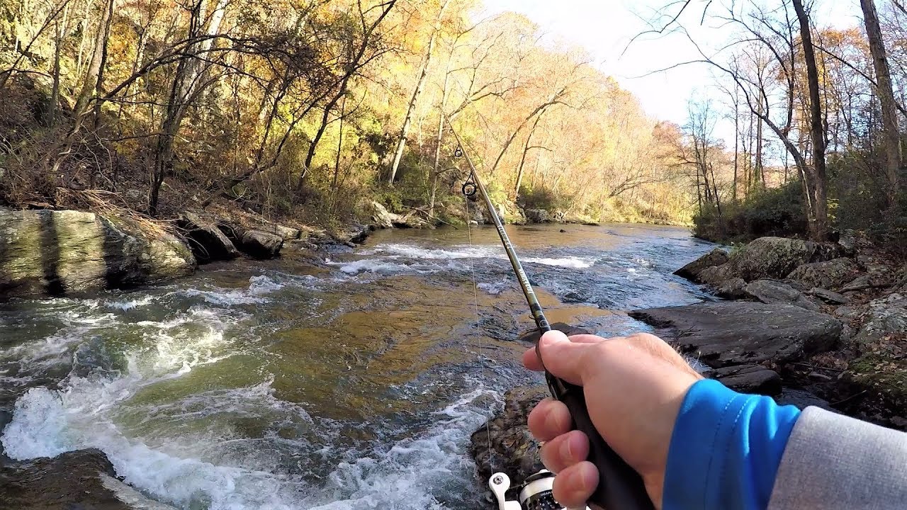 Wild TROUT Fishing with Spinners in Creek YouTube