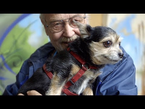 IFAW and Germany's Tiertafel Pet Clinic - Full Version