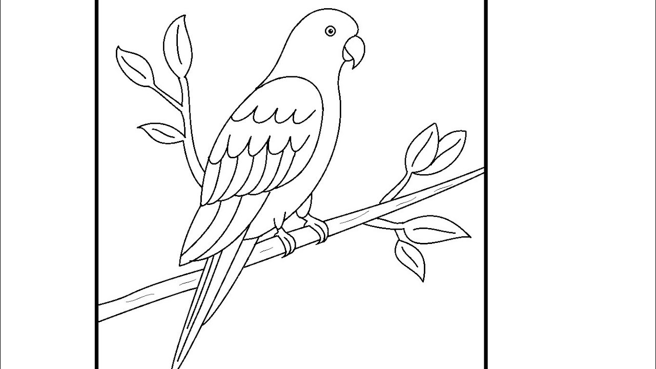 🦜 Beautiful Parrot Drawing | Easy Bird Drawing for Kids | Parrot Drawing Step by Step | 