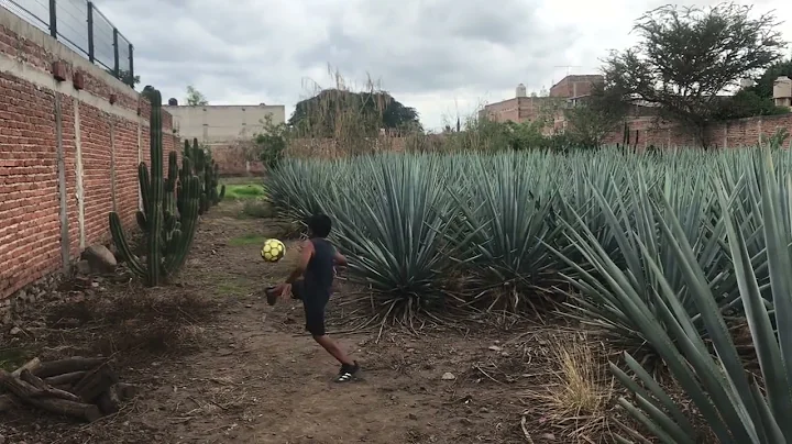 AARON SALDIVAR CLUB ALBION SC (practice)