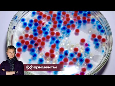 Вода. Фильм 3 | ЕХперименты с Антоном Войцеховским