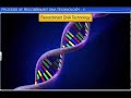 CBSE Class 12 Biology || Process of Recombinant DNA Technol - II