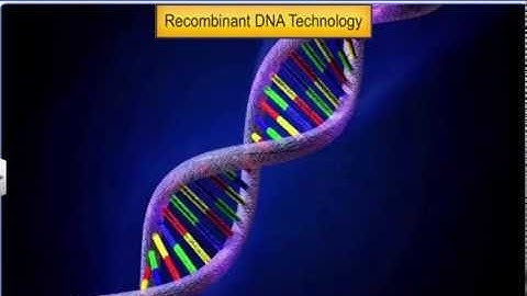CBSE Class 12 Biology || Process of Recombinant DNA Technol - II