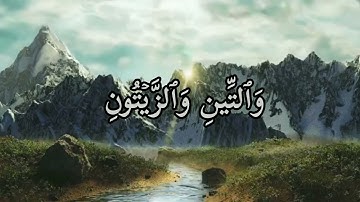 سورة التين ، اسلام صبحي