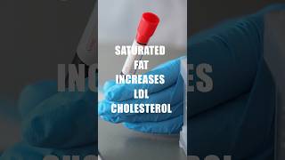 Saturated Fat And LDL Cholesterol (DiTuro Productions)