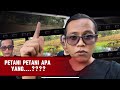 Petani Petani Apa yang….??