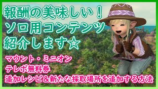 FF14　報酬が美味しいソロ用コンテンツ