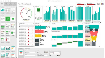 Data Visualization - Dashboard in SSRS Report Mobile