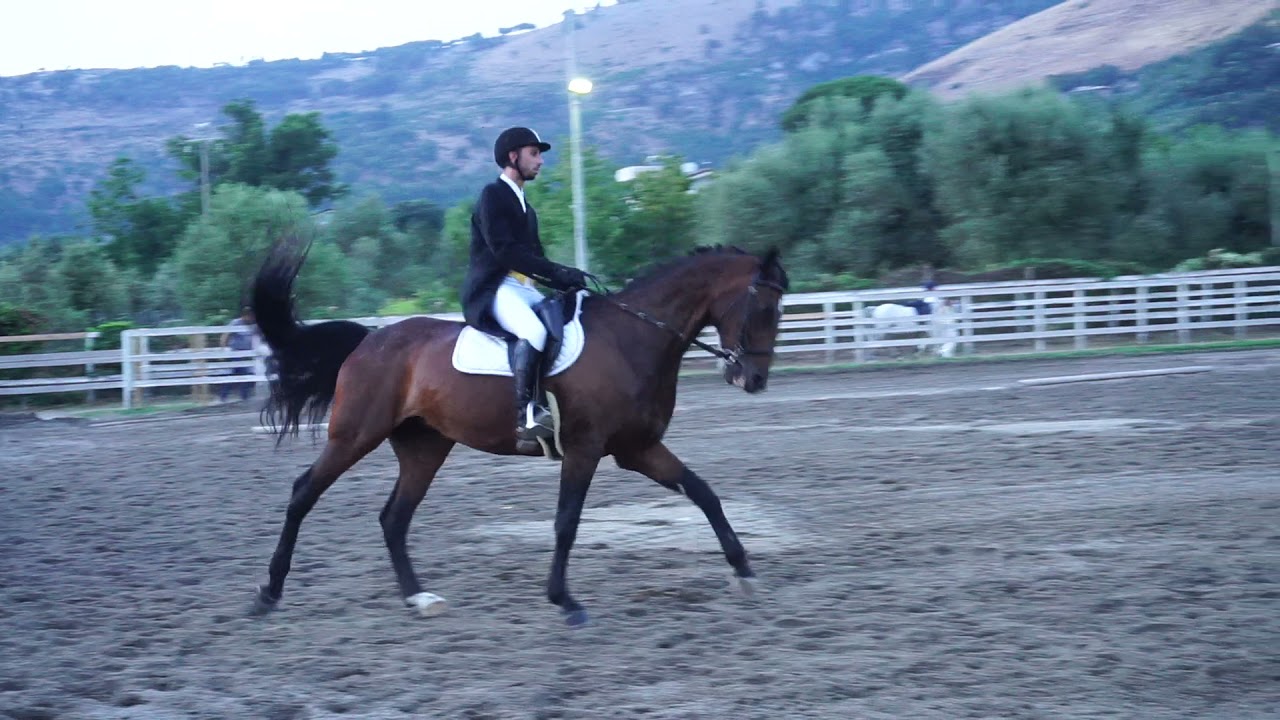 Ripresa di Dressage E200 Ragentina 66,19%