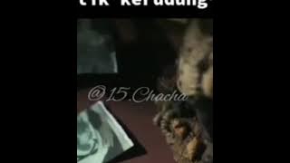 Kehormatan Di balik Kerudung