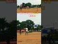 Kumaran bowling wicket 💥 #cricket #ipl #tamil