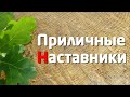 НОВЫЙ СЕЗОН ТВОРЧЕСКОГО ОНЛАЙН-КУРСА VIKENT.RU: РАЗВИТИЕ ЛИЧНОСТИ