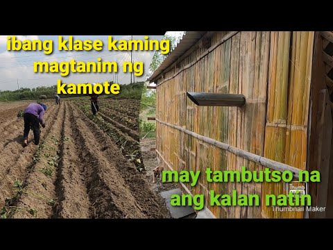 Video: Nalaman Kung Magkano Ang Gastos Upang Mapanatili Ang Kagandahan Ng Masha Rasputina