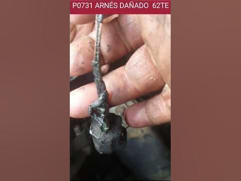 Dodge Caravan PO731 - YouTube