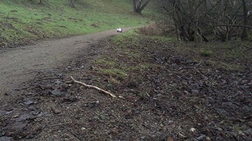 Mst cfx Lc70 Toyota drive at Haraldsted sø