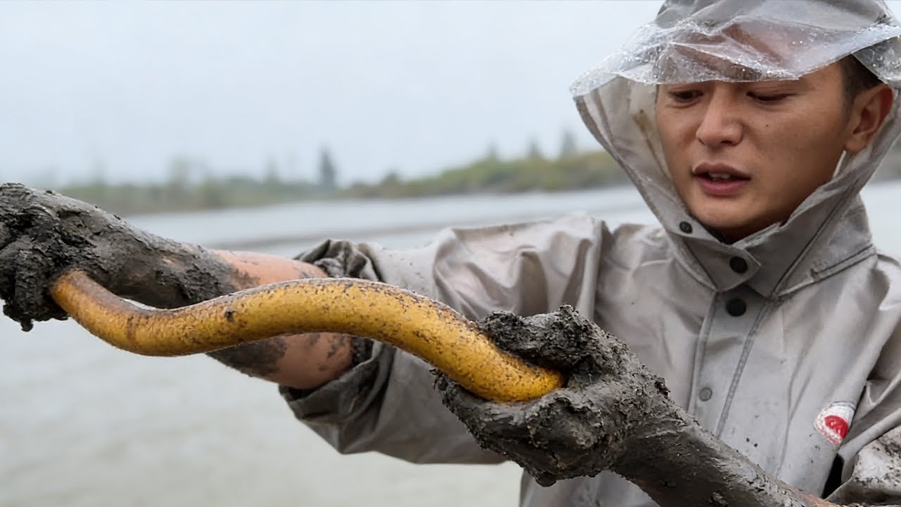 開張第一條就不錯，那豈不是一個好兆頭