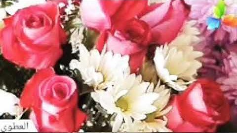 سورة الأحزاب،، الشيخ صلاح بو خاطر