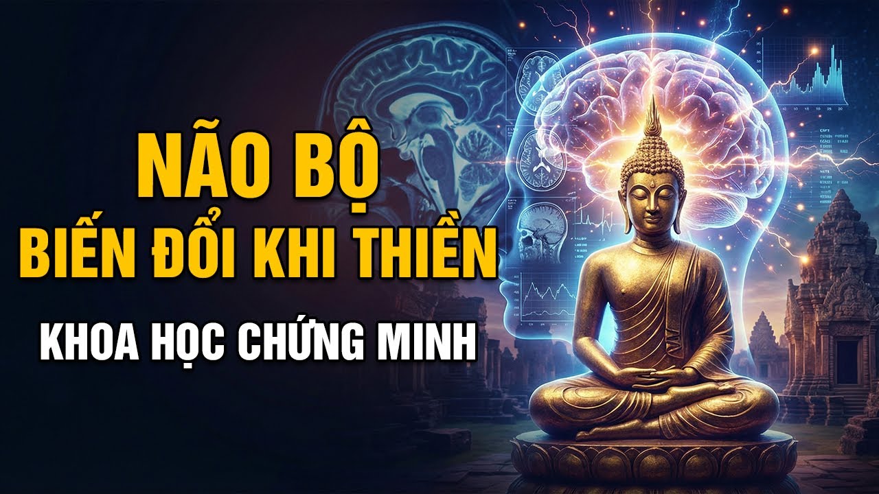 Khoa học thần kinh BÓC TRẦN: Điều gì xảy ra với NÃO khi Thiền? | Tâm Pháp Giới