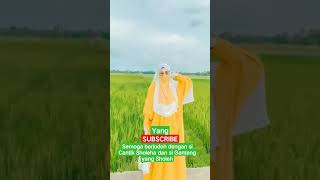 Tercantik Si Wanita Bercadar