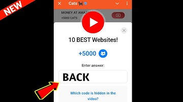 10 BEST Websites! Cats Code | 10 BEST Websites! cats video code today