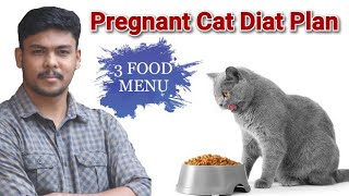 ഗർഭിണിയായ പൂച്ചയുടെ 3 ഭക്ഷണ രീതികൾ | Pregnant Cat Diat Plan