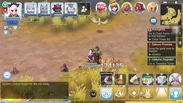 another player grinding at harpy spot using nox macro