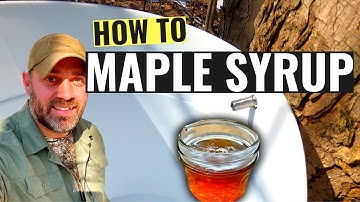 Making Maple Syrup at Home | How to Make Maple Syrup | Off Grid Homesteading - Part 1