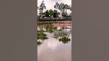 Ghe Ngo chùa Trà Tim Cũ thử tốc độ ghe độc mộc