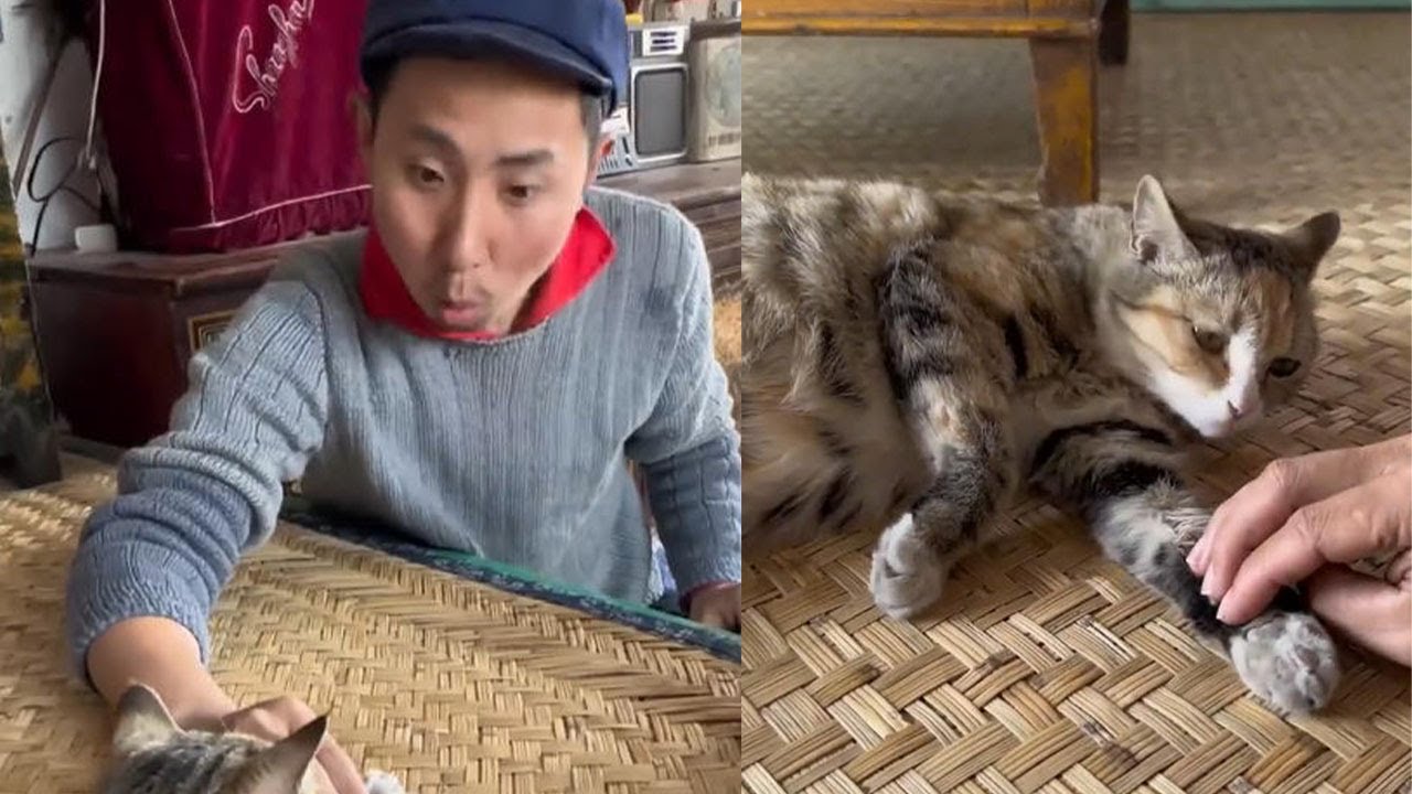 這才是家常炖雞塊的正確做法，快學起來吧#food #cooking #客家美食 #家庭菜 #delicious