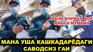 СОЛА-СОЛ... КАШКАДАРЁДАГИ ЗУРАВОН ГАИЛАР...