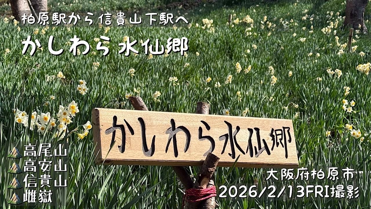 JR柏原駅→かしわら水仙郷→近鉄信貴山下駅（高尾山・高安山・信貴山・雌嶽（信貴山南峰））（大阪府柏原市/奈良県三郷町）（ふつう21）