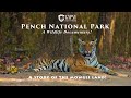 Pench National Park A wildlife documentary!  Animals in wild