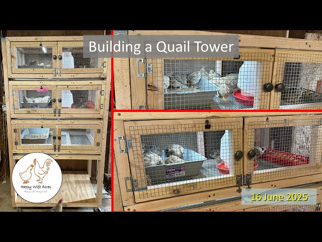 Building a Quail Tower