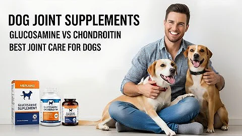 Dog Joint Supplements: Glucosamine vs Chondroitin | Best Joint Care for Dogs