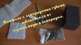 Лайфхак с аквариумной губкой, избавляемся от мутной воды в аквариуме. Лайфхак с аквариумной губкой, избавляемся от мутной воды в аквариуме.