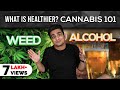 What Is More Harmful? Weed, Alcohol or Coffee | BeerBiceps Fitness