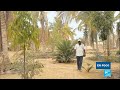 En Senegal, un maestro de la permacultura cultiva un huerto en el desierto