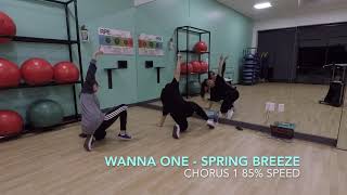 [ECLIPSE] Wanna One (워너원) - Spring Breeze Dance Tutorial | All Choruses