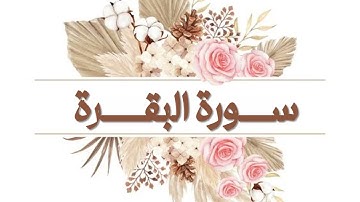 ألا بذكر الله تطمئن القلوب | تلاوة عذبة لـ سورة البقرة