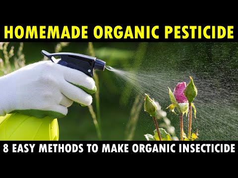 Best Homemade Organic Pesticides for Vegetable Plants | How to make Organic insecticide at Home