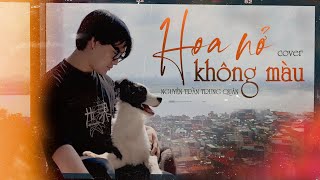 Video thumbnail of "Hoa Nở Không Màu - Nguyễn Trần Trung Quân | Cover"