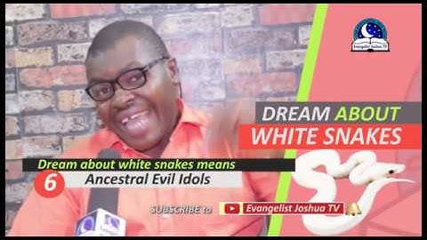DREAM ABOUT WHITE SNAKE - Evangelist Joshua Orekhie Dream Dictionary