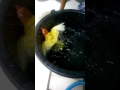 Obat Burung Lovebird Biar Ngekek Panjang