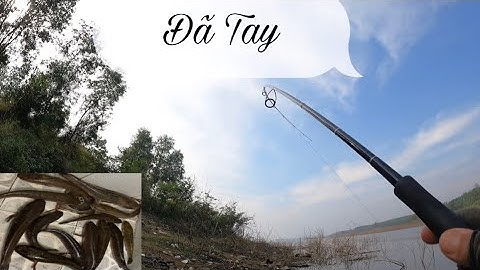 Săn Cá Lóc Ở Đập Sông Ray | Long Chu Du Fishing