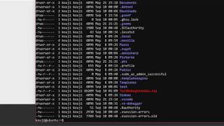 Debugging  .NET Core on Linux #5 #centerclr #dotnet #netcore #debug #remote
