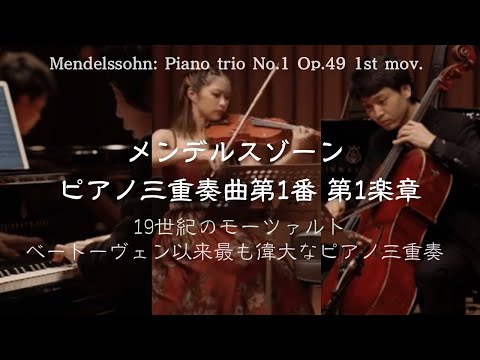 メンデルスゾーン: ピアノ三重奏曲ニ短調第1番Op.49 第1楽章 / Mendelssohn: Piano trio No.1 Op.49 1st mov.