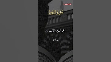 سورة الروم الشيخ سعد الغامدي