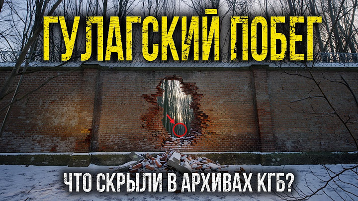 Тайна ЛЕДЯНОГО Побега: Как Сбежали из ГУЛАГА Сквозь Сибирскую Тайгу