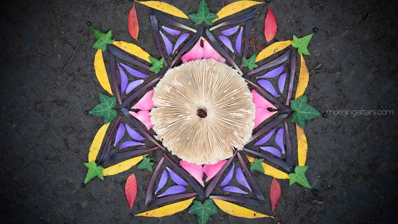 Obejrzyj "Remember the Future" - Darshan ft. MorningAltars w YouTube Obejrzyj "Remember the Future" - Darshan ft. MorningAltars w YouTube